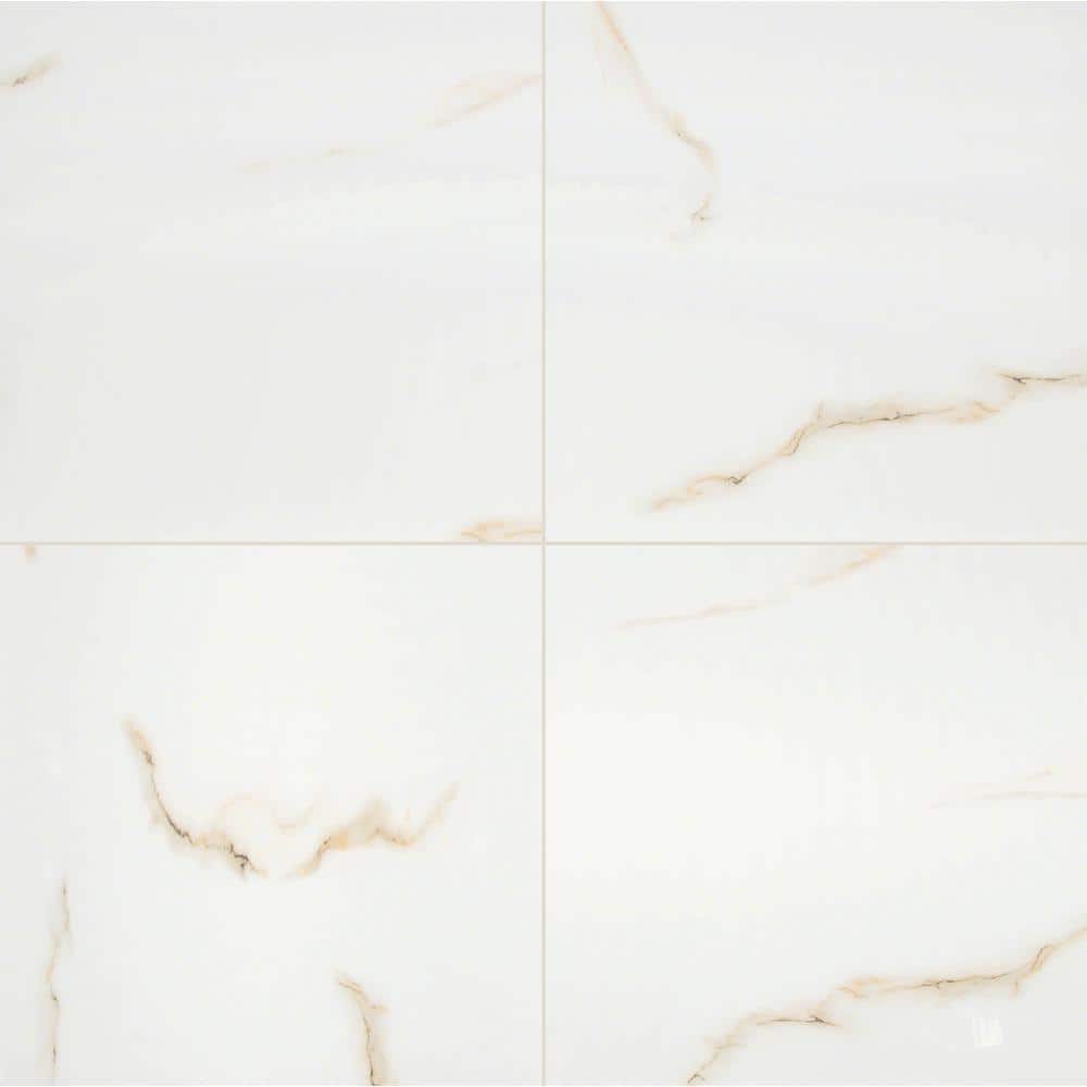 MSI Take Home Tile Sample - Aria Bianco 4 in. x 4 in. Polished