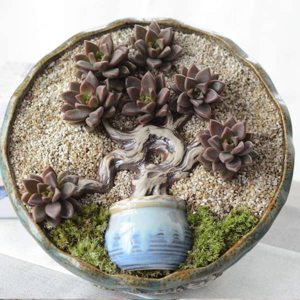 2. 2lb Bagged Coarse Silica Sand-Bonsai/Cacti/Succulent/Carnivorous Plant  Mix.0.1 cu ft Jaycool8130 - The Home Depot