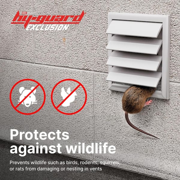 VentGuard 7 in. x 7 in. Kitchen and Bathroom Wildlife Exclusion Screen in White VentGuard 7 in. x 7 in. Kitchen and Bathroom Wildlife Exclusion Screen in White