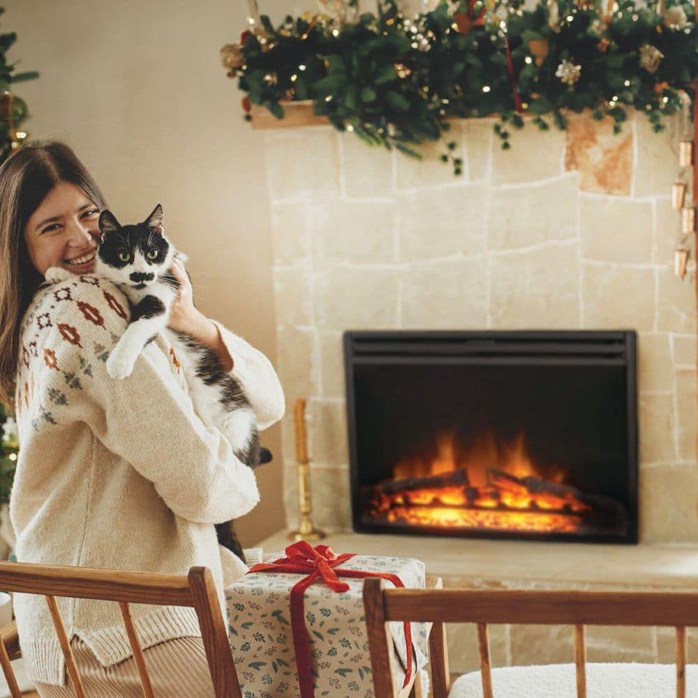 Cambridge 23-Inch Black Freestanding Electric Fireplace Heater