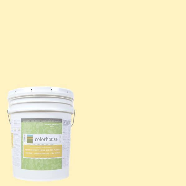 Colorhouse 5 gal. Sprout .04 Semi-Gloss Interior Paint