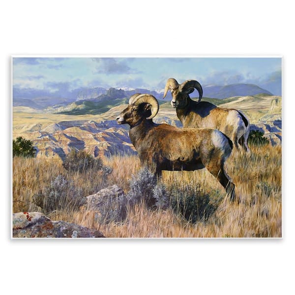 Stupell Industries Wild Rams Torrey Canyon by Mark Kelso Unframed Nature Graphic Art Print 10 in. x 15 in.