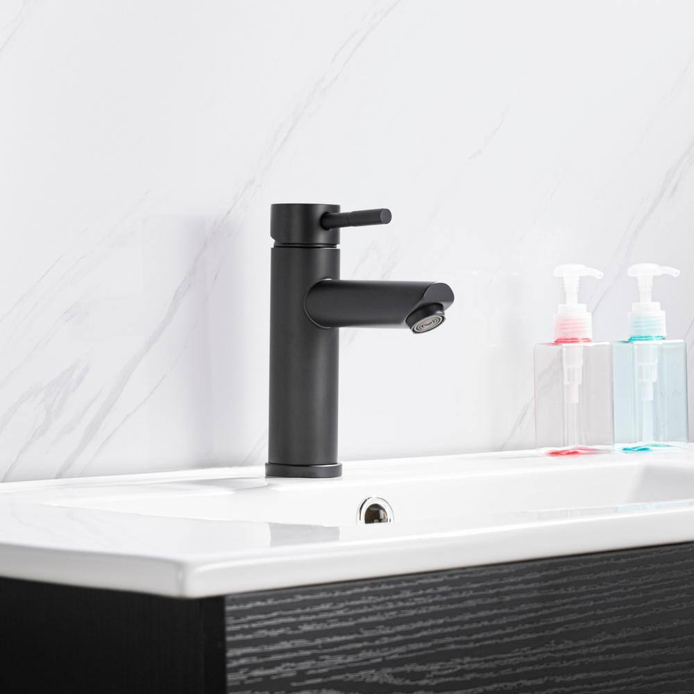 Matte Black Stainless Steel Single-Handle Bathroom Faucet