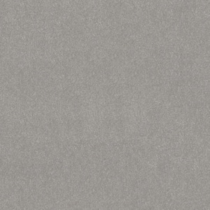Blakely II - Steel-Gray 12 ft. 52 oz. High Performance Polyester Texture Installed Carpet