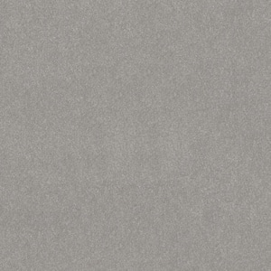 Blakely II - Steel-Gray 15 ft. 52 oz. High Performance Polyester Texture Installed Carpet