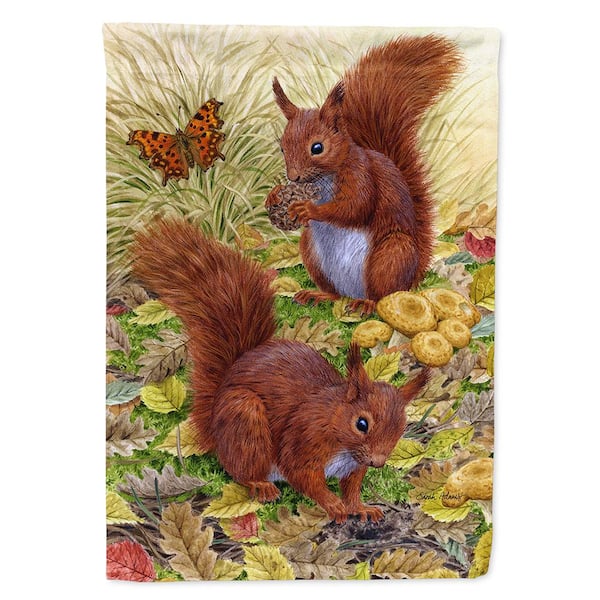 Caroline S Treasures 11 In X 15 1 2 In Polyester Red Squirrels Garden Flag 2 Sided 2 Ply Asa2133gf The Home Depot