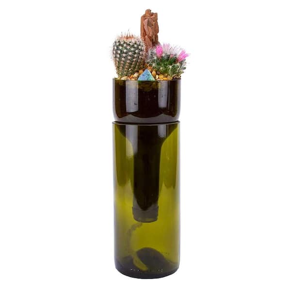 Deco Wine Wine Bottle Self-Watering Cactus Planter