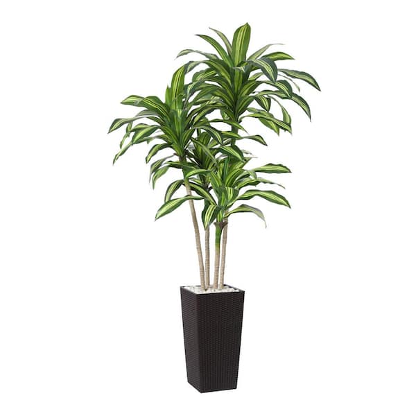 DR.Planzen 6 ft.Artificial Dracaena Tree UV Resistant with Brown Tall Planter, Faux Dracaena Tree for Outdoor
