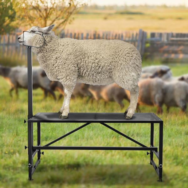 VEVOR 64.1 in. x 51 in. Stationary Goat & Sheep Stand 500 lbs