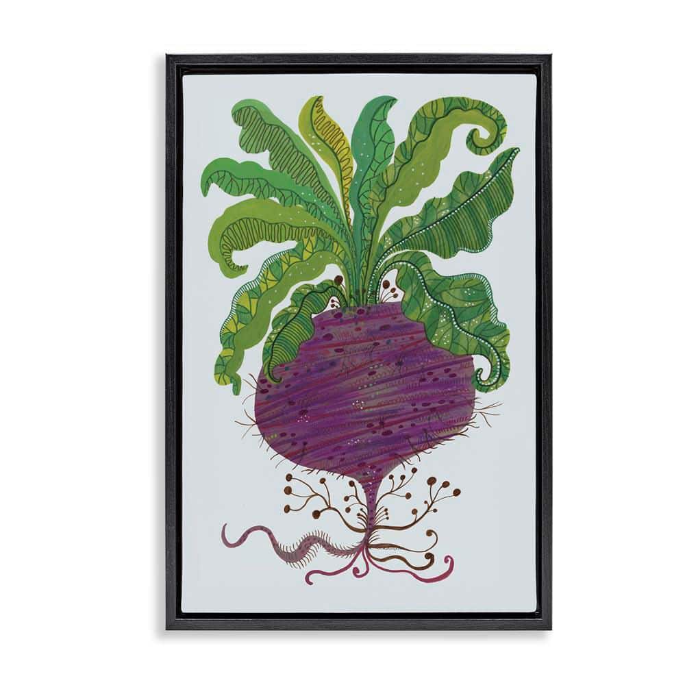 Stylized Beetroot Vegetable by Kay Widdowson Black Floater Frame Food Graphic Art Print 31 in. x 21 in. price history on PriceWatchPro