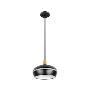 It's Exciting Lighting 24-LED Nickel 2.25-Watt Integrated LED Battery  Operated Ceiling Pendant with Frosted Glass Shade IEL-5778 - The Home Depot