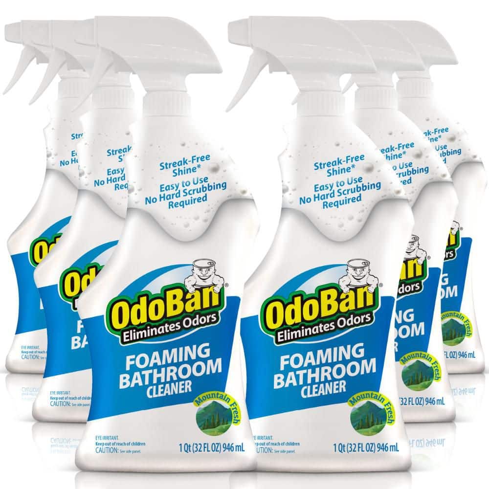 32 oz. Mountain Fresh Scent Foaming Bathroom Cleaner Spray (6-Pack) price history on PriceWatchPro