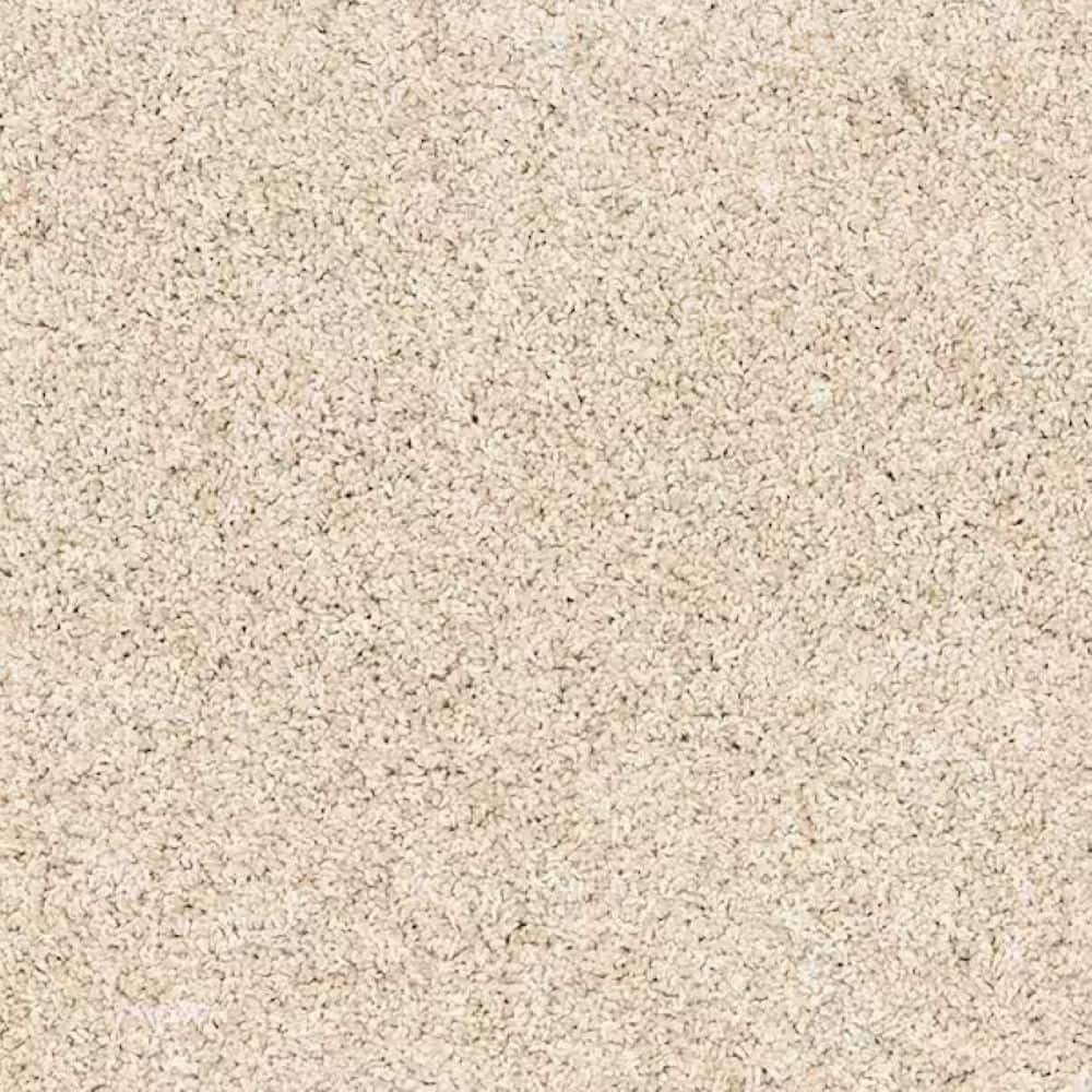8 in. x 8 in. Texture Carpet Sample - Urban Cozy - Color Forge price history on PriceWatchPro