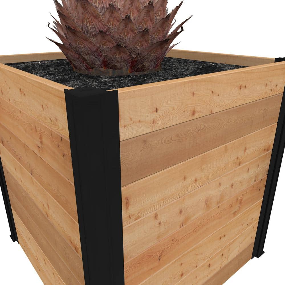 Mezza 22" Golden Brown Cedar Cube Planter with Modern Minimalist Design