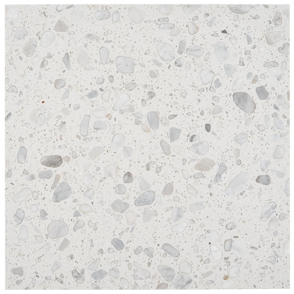 Italia Bianco 24'' x 24'' Honed Terrazzo Floor and Wall Tile