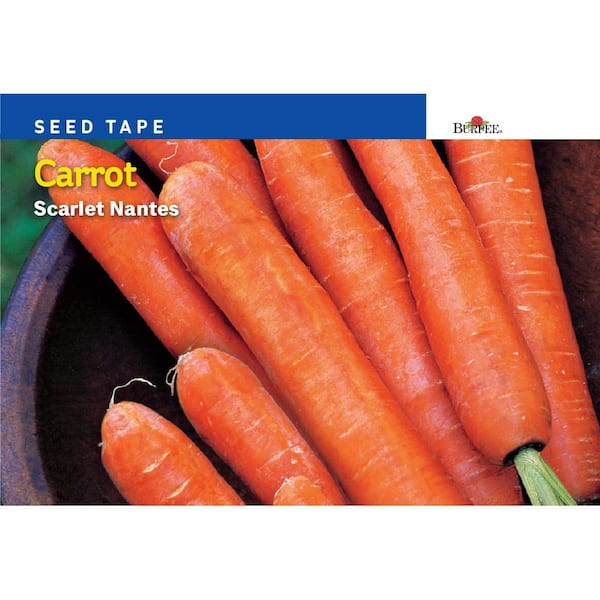 Burpee Carrot Nantes Half Long Seed Tape