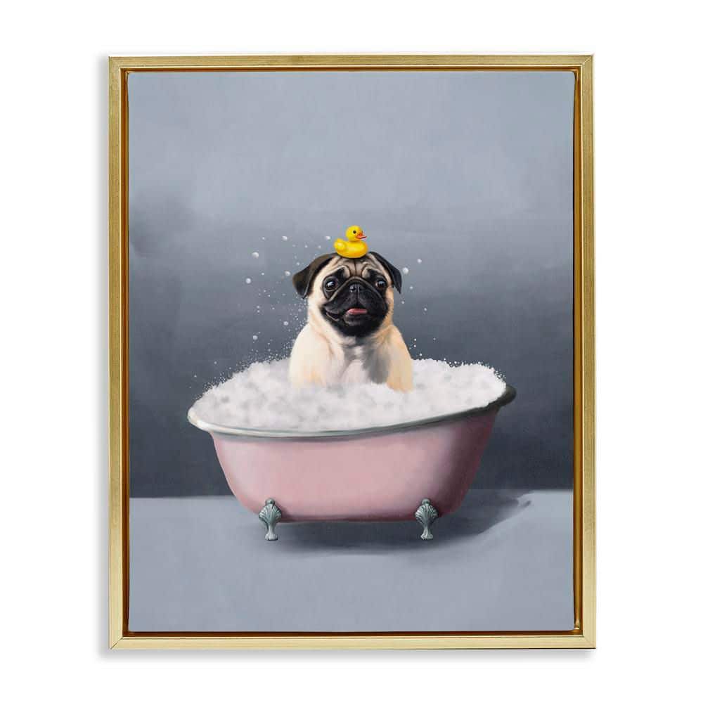 Bathing Pug with Rubber Duck by Svetlana Aleynikova Gold Floater Frame Animal Graphic Art Print 21 in. x 17 in. price history on PriceWatchPro