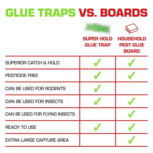 TOMCAT Glue Mouse and Rat Trap - Clear/Green, 2 pk - City Market