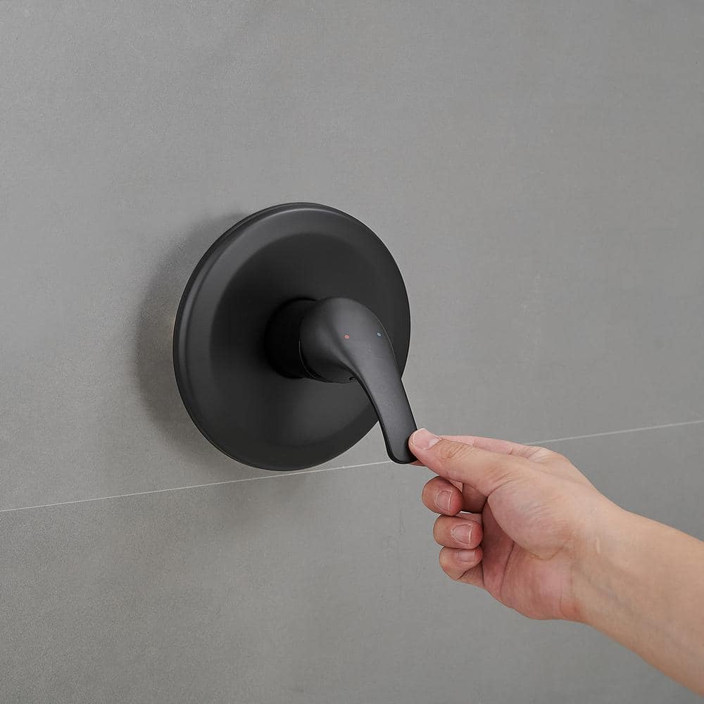 Matte Black Dual Function Rain Shower Faucet Combo Set