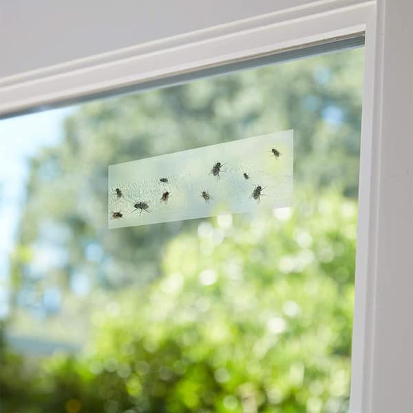 Window Fly Trap — GreenWay