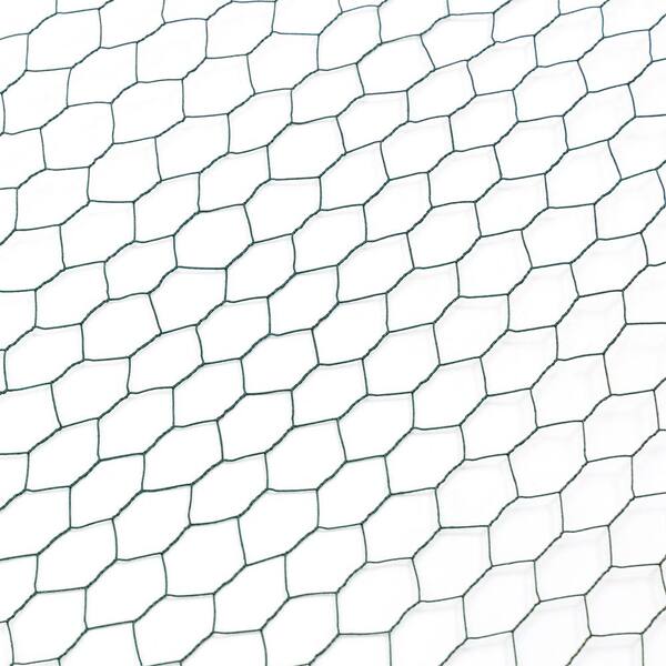 3.6 ft. W x 157 ft. L Outdoor Large Anti-Rust Chicken Coop Wire Fencing Galvanized Poultry Netting
