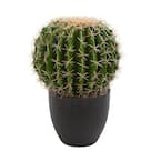 Nearly Natural Indoor Cactus Artificial Plant 6327 - The Home Depot