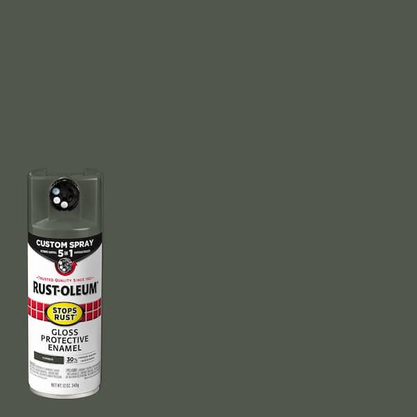 12 oz. Custom Spray 5-in-1 Gloss Cypress Spray Paint (Case of 6)
