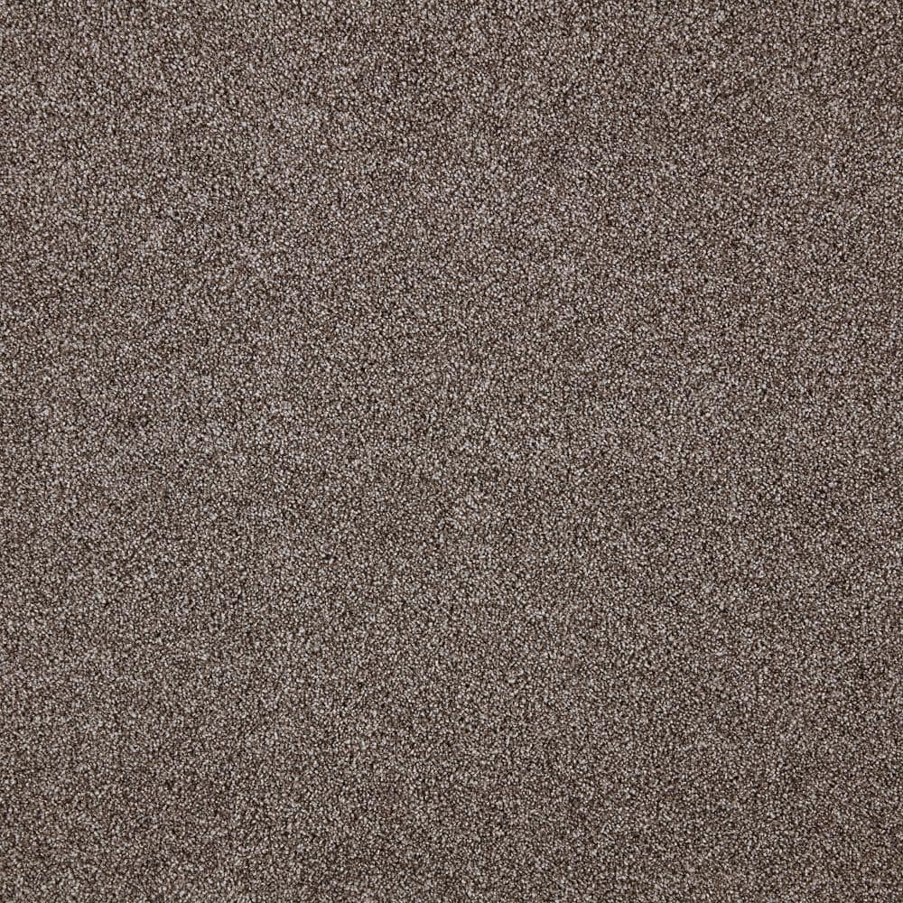 8 in. x 8 in. Texture Carpet Sample - Playful Moments II (T) -Color Woody price history on PriceWatchPro