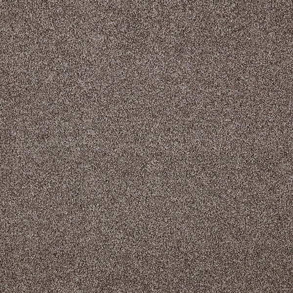 Mohawk 8 in. x 8 in. Texture Carpet Sample - Playful Moments II (T) -Color Woody