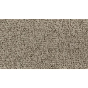 TrafficMaster 8 in. x 8 in. Pattern Loop Carpet Sample - Hanville ...