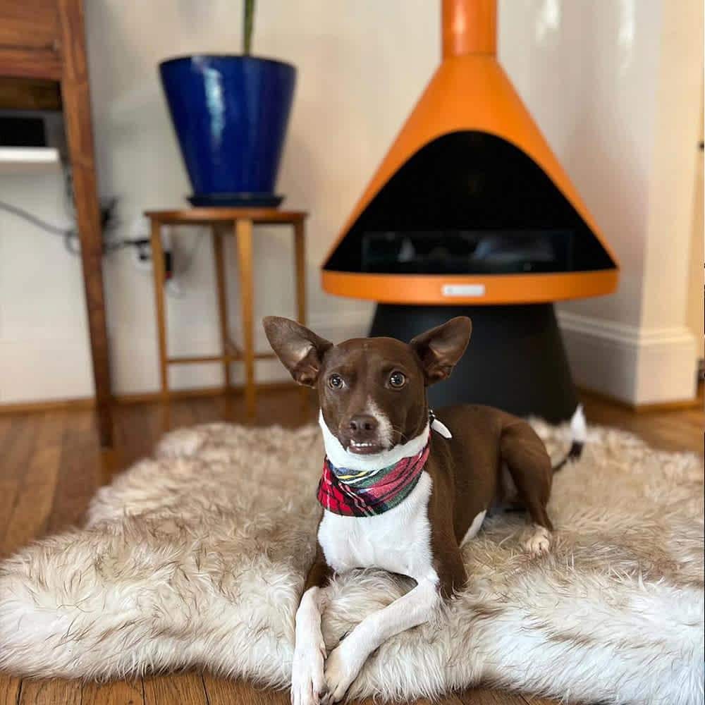 Lloyd Graphite Free-Standing Gel Fuel Fireplace