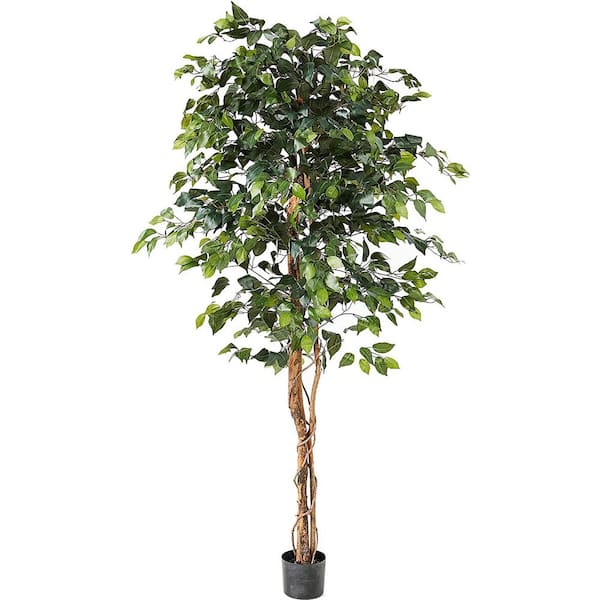 Cubilan 6 ft. Green Artificial Ficus Trees in Pot