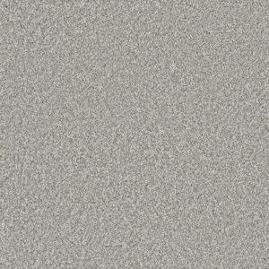 Misty Meadows I- Lovell Gray - 45 oz. SD Polyester Texture Installed Carpet