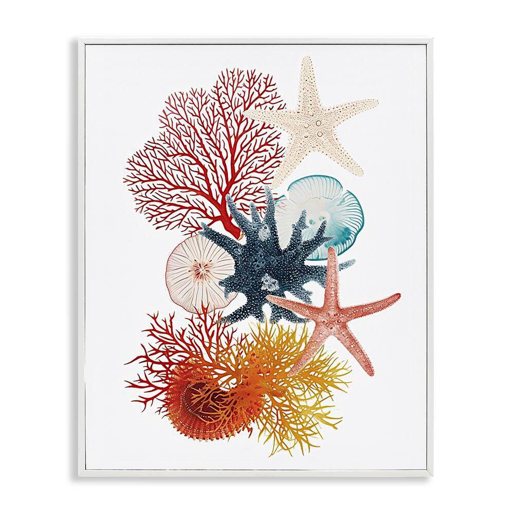 Coral & Undersea Creatures by Ramona Murdock White Framed Animal Giclee Art Print 20 in. x 16 in. price history on PriceWatchPro
