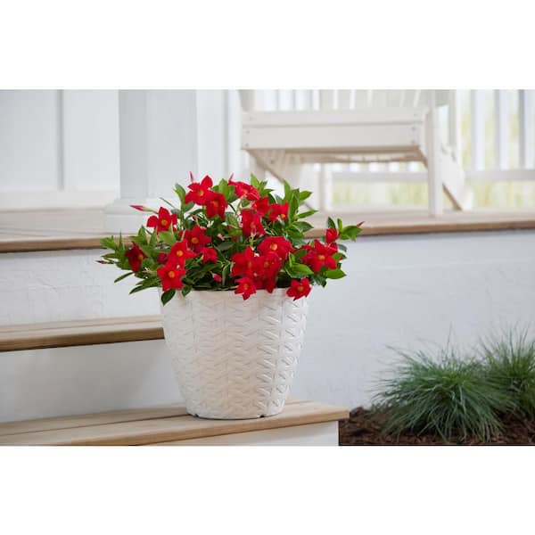 Kingfield Medium Beige Resin Woven Texture Round Planter (13 in. L x 13 in. W x 10.75 in. H)