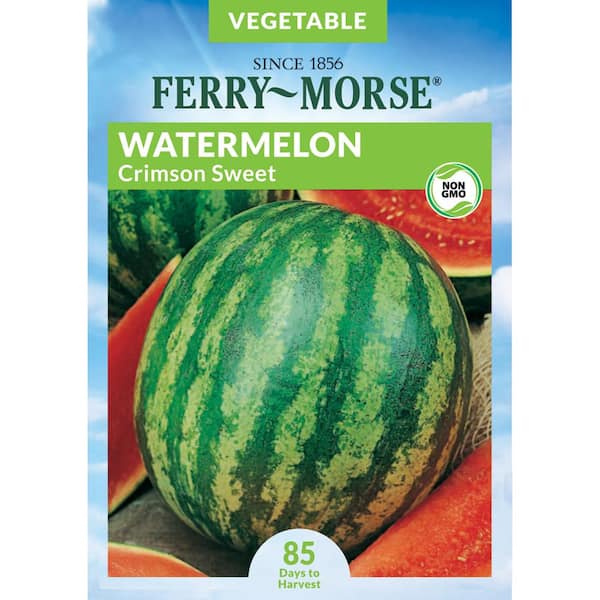 Ferry-Morse Watermelon Crimson Sweet Fruit Seed
