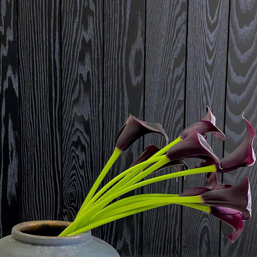 true-black-farmhouse-