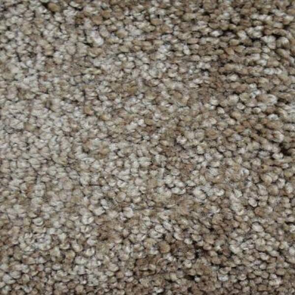 Lifeproof Carpet Sample - Tyus I - Color Seneca Texture 8 in. x 8 in.