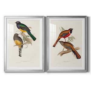 Elegant Trogons V By Wexford Homes 2-Pieces Framed Abstract Paper Art Print 26.5 in. x 36.5 in.