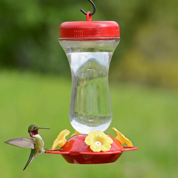 Perky Pet Petunia Top Fill Glass Hummingbird Feeder 16 oz