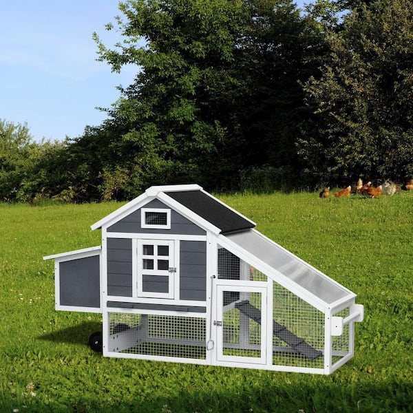 Runesay 70.86 in. W Gray Removable Tray Ramp wooden outdoor chicken hutch coop with running cage with wheels