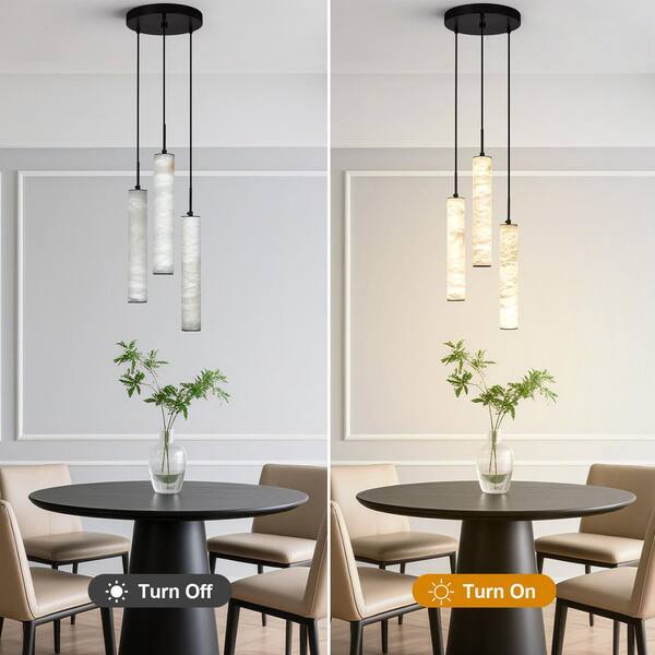 ZHLWIN Home Light 30-Watt 3 Lights Black Dimmable Integrated LED