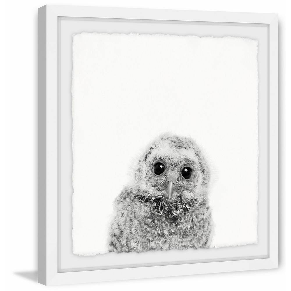 20" x 20" Gray and White Owl Framed Canvas Print