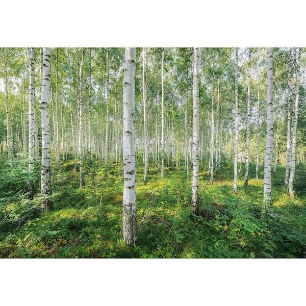 Komar Sunny Day Nature Wall Mural