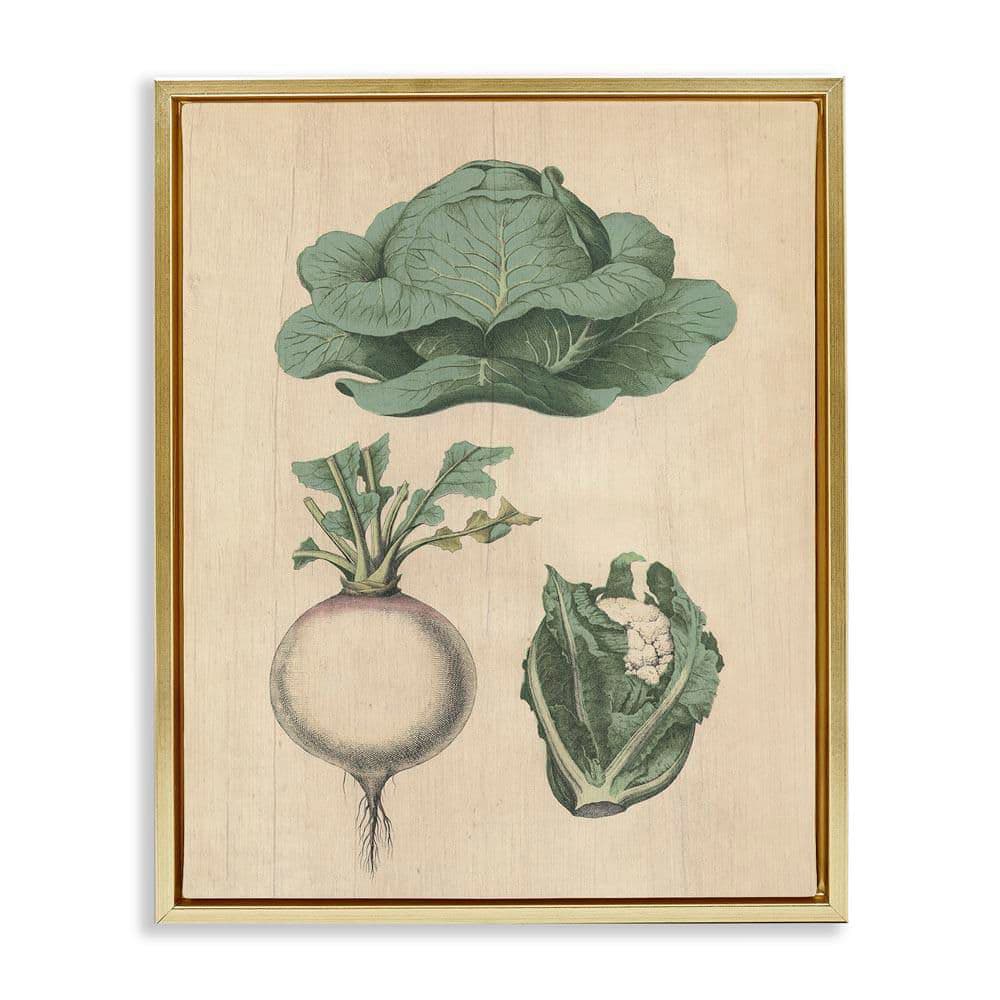 Vintage Garden Vegetables by Daphne Polselli Gold Floater Frame Food Graphic Art Print 21 in. x 17 in. price history on PriceWatchPro