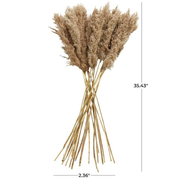 Litton Lane Pampas Natural Foliage with Long Stems (One Bundle) 043435 -  The Home Depot