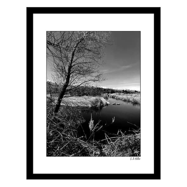 VENICE BEACH Collections Heller Photography Owens River Framed Printed Photograph by Steven A Heller Nature Poster Art Print 18 in. x 14 in.