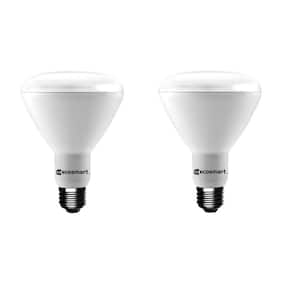 75-Watt Equivalent BR30 Dimmable Energy Star LED Light Bulb Bright White (2-Pack)
