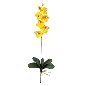 Yellow Phalaenopsis Stem (Set of 6)