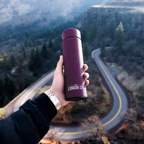 16 oz. Purple Stainless Steel Tea Infuser Bottle TB16-P - The Home
